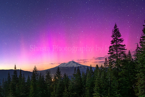 Mt Shasta Northern Lights taken Saturday May 11th 2024 right after sunset with crescent moon lighting the mountain and trees