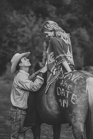 Equine, Cowboy, Unicorn & Little Cowfolk portrait photo shoot mt shasta northern california