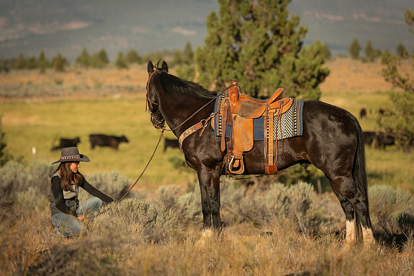 Equine, Cowboy, Unicorn & Little Cowfolk portrait photo shoot mt shasta northern california