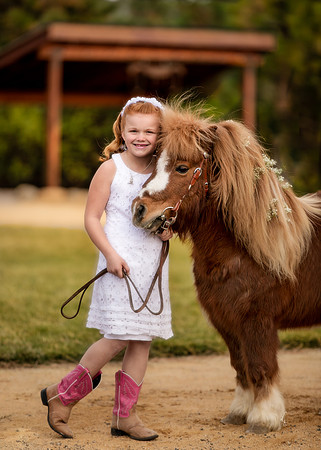 Equine, Cowboy, Unicorn & Little Cowfolk portrait photo shoot mt shasta northern california