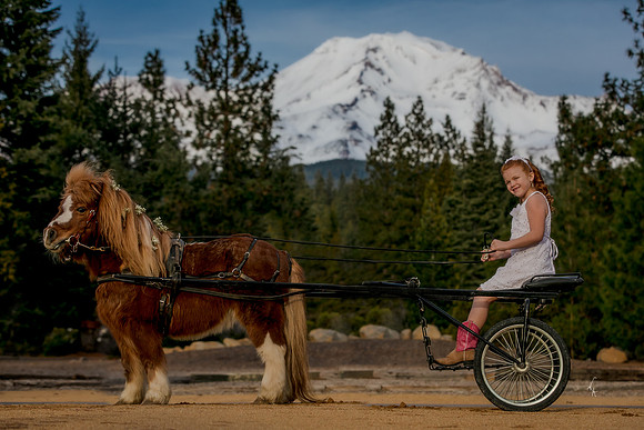 Equine, Cowboy, Unicorn & Little Cowfolk portrait photo shoot mt shasta northern california