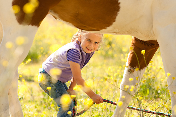 Equine, Cowboy, Unicorn & Little Cowfolk portrait photo shoot mt shasta northern california
