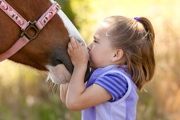 Equine, Cowboy, Unicorn & Little Cowfolk portrait photo shoot mt shasta northern california