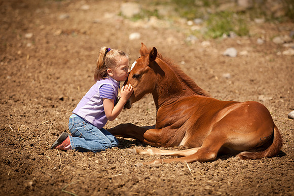 Equine, Cowboy, Unicorn & Little Cowfolk portrait photo shoot mt shasta northern california