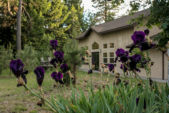 6-3-18-0264