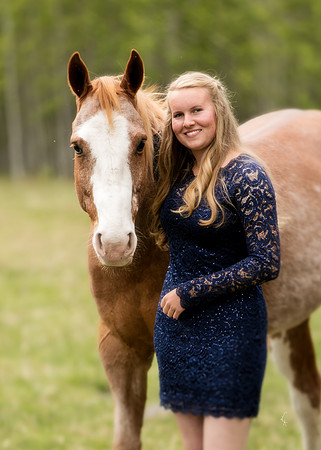 Equine, Cowboy, Unicorn & Little Cowfolk portrait photo shoot mt shasta northern california