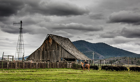 Equine, Cowboy, Unicorn & Little Cowfolk portrait photo shoot mt shasta northern california