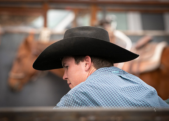Equine, Cowboy, Unicorn & Little Cowfolk portrait photo shoot mt shasta northern california