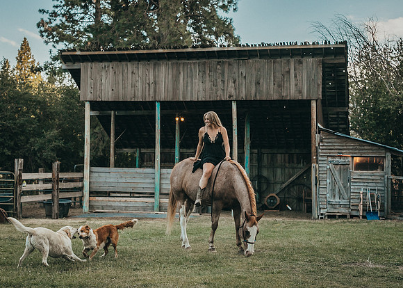 Equine, Cowboy, Unicorn & Little Cowfolk portrait photo shoot mt shasta northern california