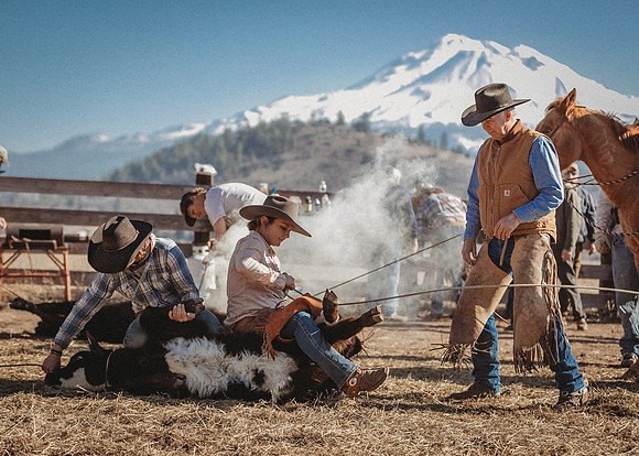 Equine, Cowboy, Unicorn & Little Cowfolk portrait photo shoot mt shasta northern california