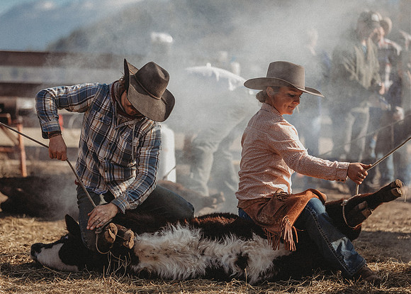 Equine, Cowboy, Unicorn & Little Cowfolk portrait photo shoot mt shasta northern california