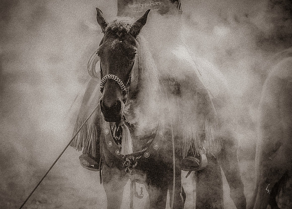 Equine, Cowboy, Unicorn & Little Cowfolk portrait photo shoot mt shasta northern california