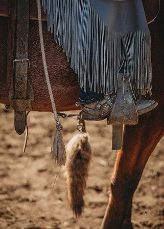 Equine, Cowboy, Unicorn & Little Cowfolk portrait photo shoot mt shasta northern california
