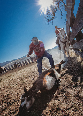 Equine, Cowboy, Unicorn & Little Cowfolk portrait photo shoot mt shasta northern california