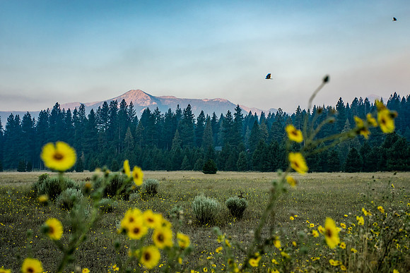 8-16-18-7436-Edit