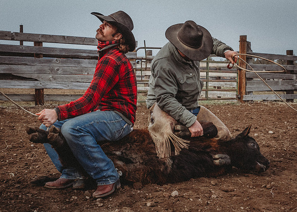 Equine, Cowboy, Unicorn & Little Cowfolk portrait photo shoot mt shasta northern california
