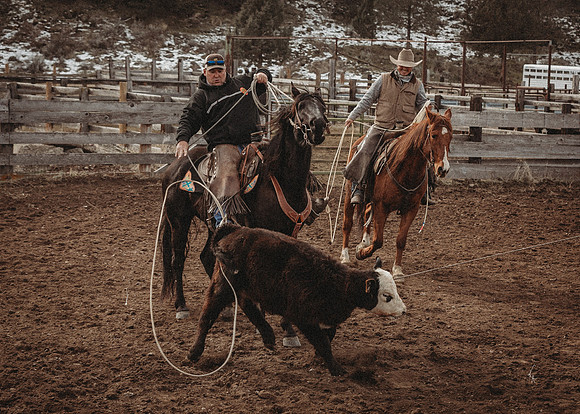 Equine, Cowboy, Unicorn & Little Cowfolk portrait photo shoot mt shasta northern california