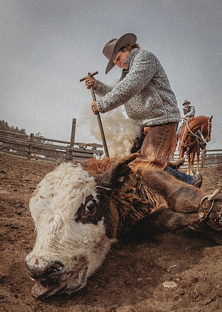 Equine, Cowboy, Unicorn & Little Cowfolk portrait photo shoot mt shasta northern california