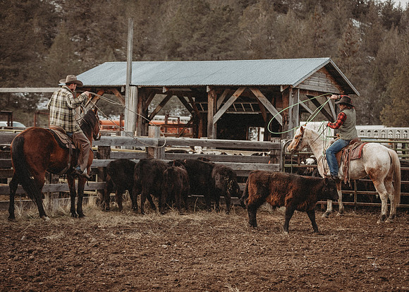 Equine, Cowboy, Unicorn & Little Cowfolk portrait photo shoot mt shasta northern california