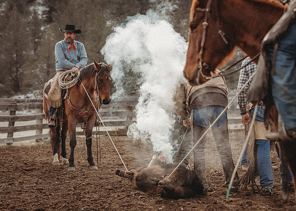 Equine, Cowboy, Unicorn & Little Cowfolk portrait photo shoot mt shasta northern california
