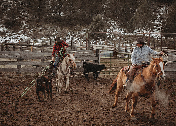 Equine, Cowboy, Unicorn & Little Cowfolk portrait photo shoot mt shasta northern california