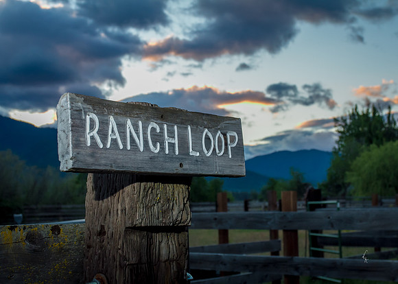 Equine, Cowboy, Unicorn & Little Cowfolk portrait photo shoot mt shasta northern california