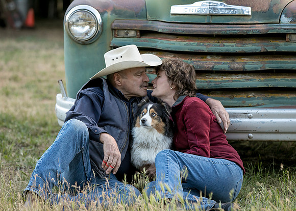 Equine, Cowboy, Unicorn & Little Cowfolk portrait photo shoot mt shasta northern california