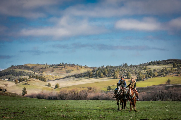 Equine, Cowboy, Unicorn & Little Cowfolk portrait photo shoot mt shasta northern california