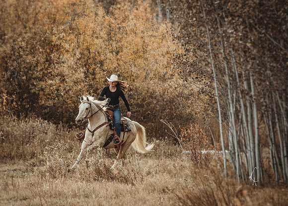 Equine, Cowboy, Unicorn & Little Cowfolk portrait photo shoot mt shasta northern california