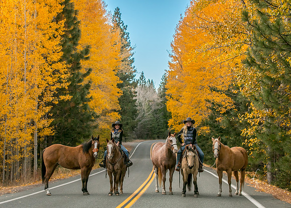 Equine, Cowboy, Unicorn & Little Cowfolk portrait photo shoot mt shasta northern california