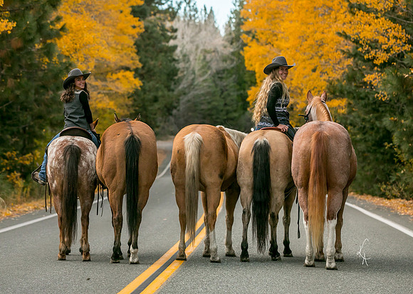 Equine, Cowboy, Unicorn & Little Cowfolk portrait photo shoot mt shasta northern california