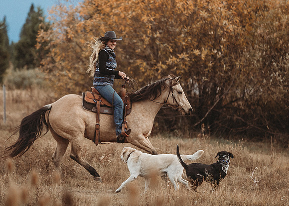 Equine, Cowboy, Unicorn & Little Cowfolk portrait photo shoot mt shasta northern california