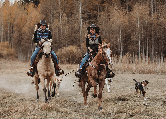 Equine, Cowboy, Unicorn & Little Cowfolk portrait photo shoot mt shasta northern california