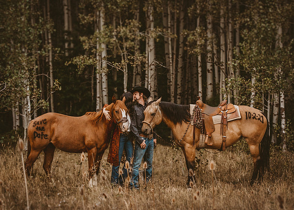 Equine, Cowboy, Unicorn & Little Cowfolk portrait photo shoot mt shasta northern california