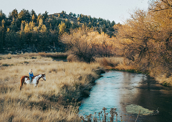 Equine, Cowboy, Unicorn & Little Cowfolk portrait photo shoot mt shasta northern california