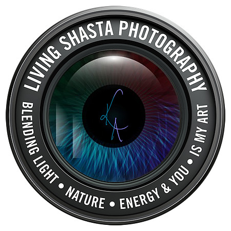 LSP KA LOGO png