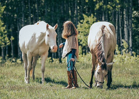 Equine, Cowboy, Unicorn & Little Cowfolk portrait photo shoot mt shasta northern california