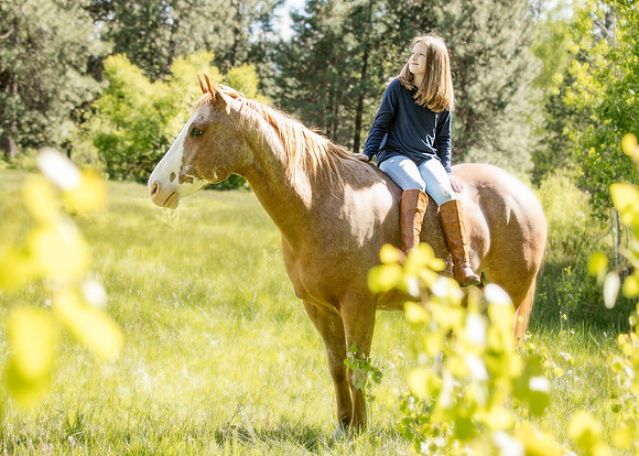 Equine, Cowboy, Unicorn & Little Cowfolk portrait photo shoot mt shasta northern california