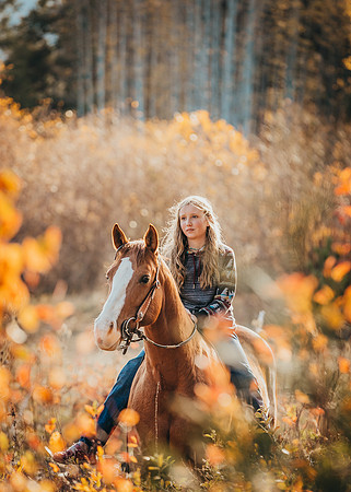 Equine, Cowboy, Unicorn & Little Cowfolk portrait photo shoot mt shasta northern california