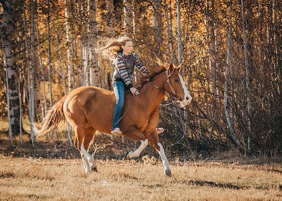 Equine, Cowboy, Unicorn & Little Cowfolk portrait photo shoot mt shasta northern california