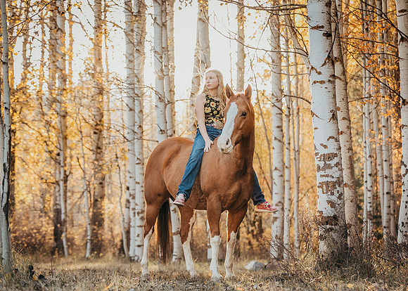 Equine, Cowboy, Unicorn & Little Cowfolk portrait photo shoot mt shasta northern california