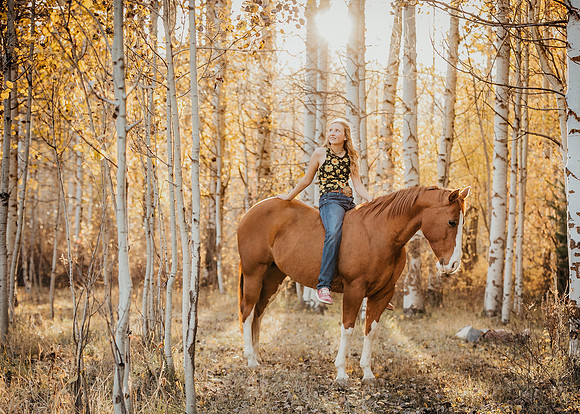 Equine, Cowboy, Unicorn & Little Cowfolk portrait photo shoot mt shasta northern california