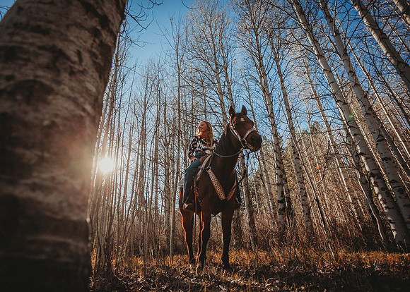 Equine, Cowboy, Unicorn & Little Cowfolk portrait photo shoot mt shasta northern california